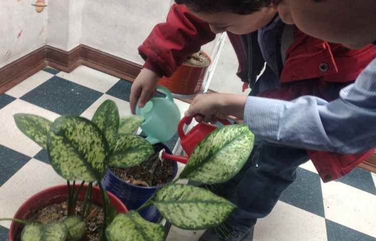 روز صلح با طبیعت 13