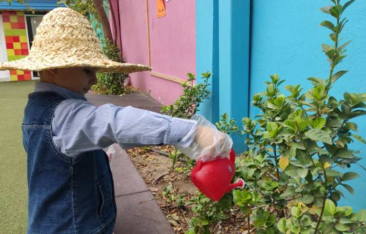 روز صلح با طبیعت 2