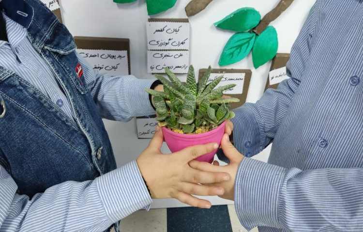 روز صلح با طبیعت 5