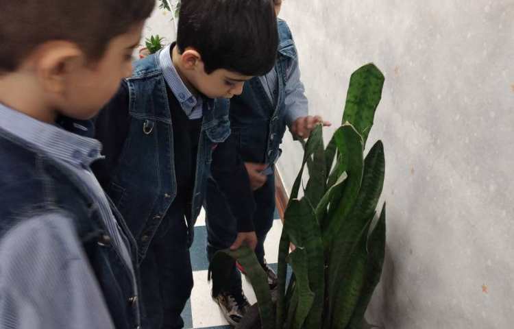 روز صلح با طبیعت 7