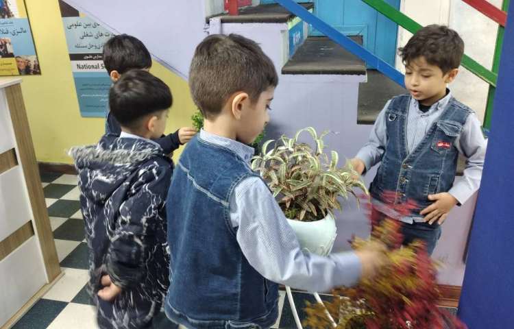 روز صلح با طبیعت 9