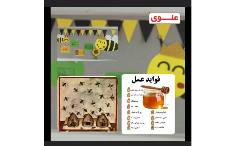 روز عسل و روز اهدا عضو 1