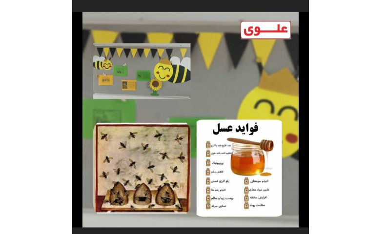روز عسل و روز اهدا عضو 1