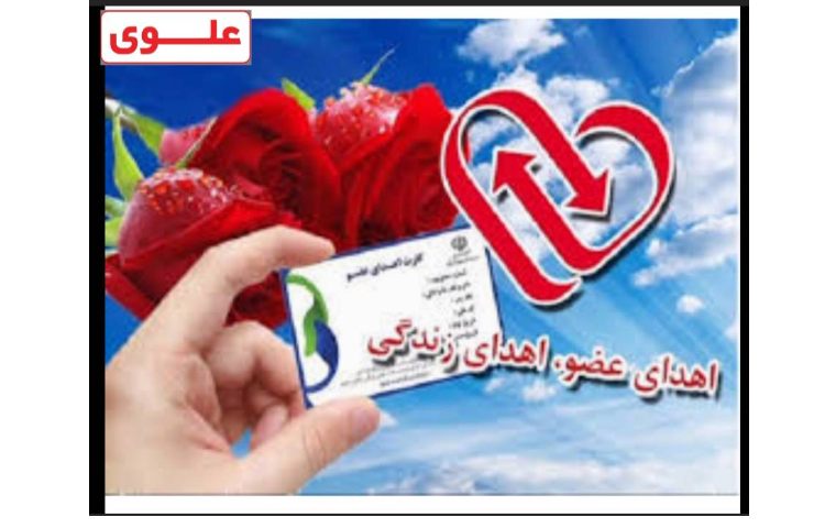 روز عسل و روز اهدا عضو 2