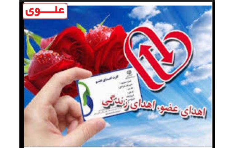 روز عسل و روز اهدا عضو 2