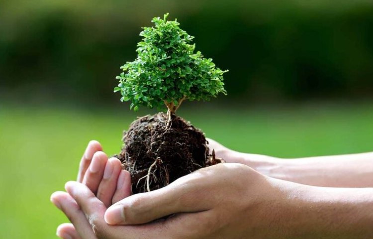 روز ملی جمعیت و هوای پاک