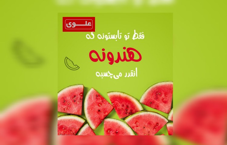 روز هندوانه ای 5