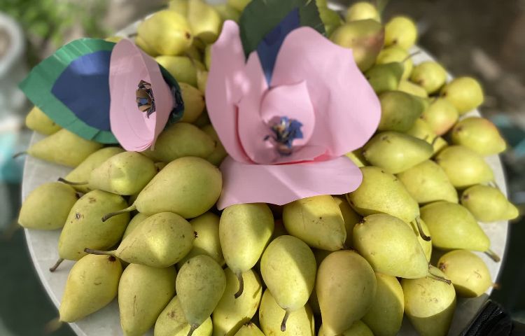 روز هنرمند و ولادت امام حسن عسگری (ع) 2