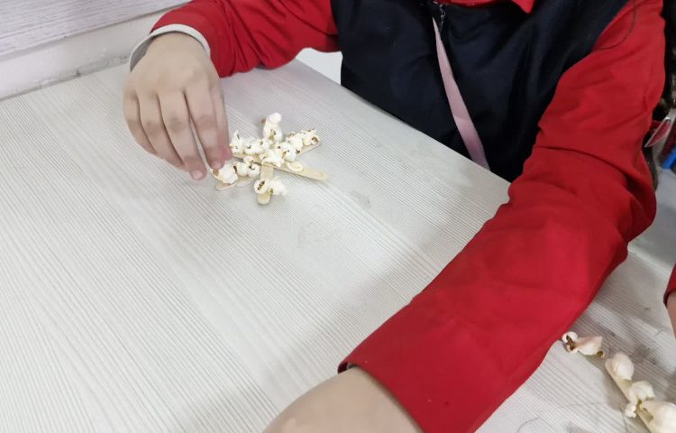 روز پاپ کورن 1