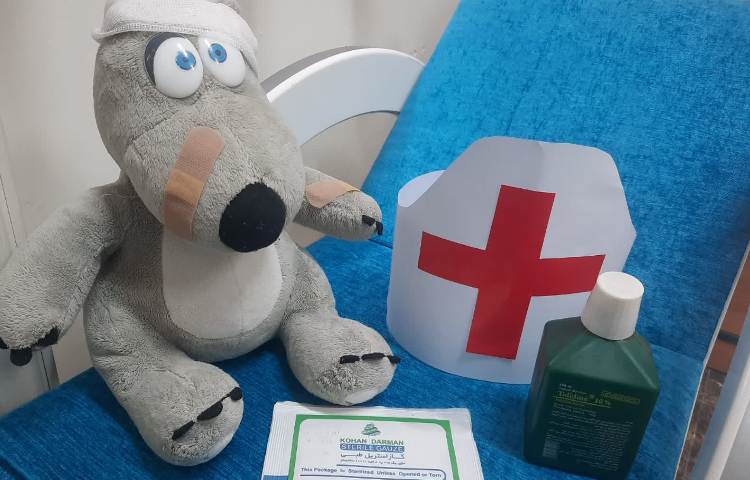 روز پرستار و ولادت حضرت زینب (س) 5