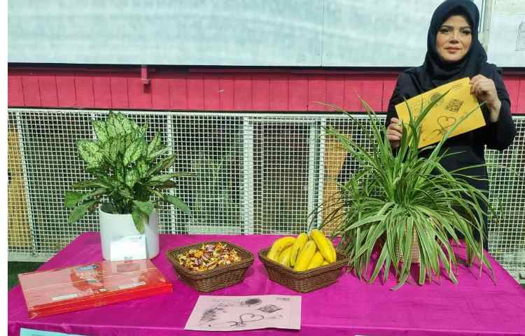 روز پرستار 4