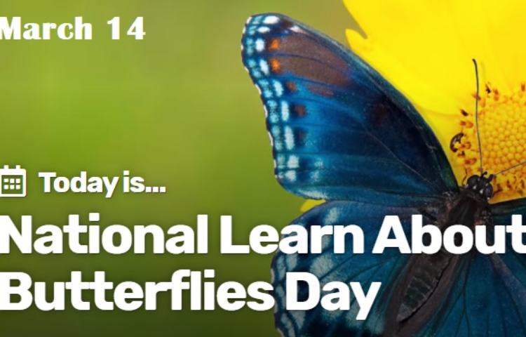 روز پروانه ها