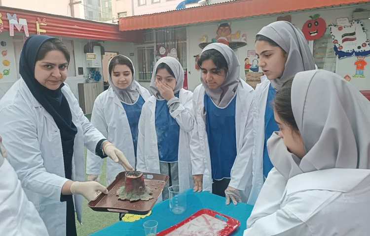 روز پژوهش 10