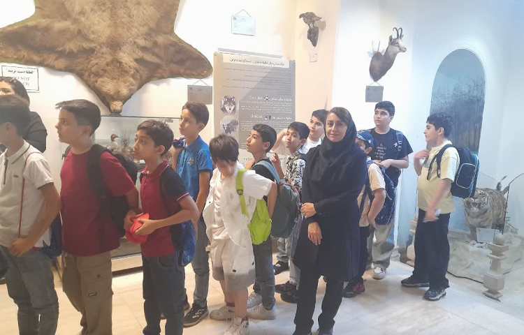 رویا پارک و موزه حیوانات تاکسیدرمی 8