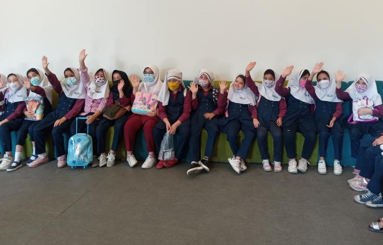 رویا پارک 13