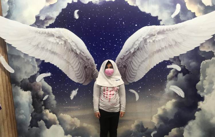 رویا پارک 13