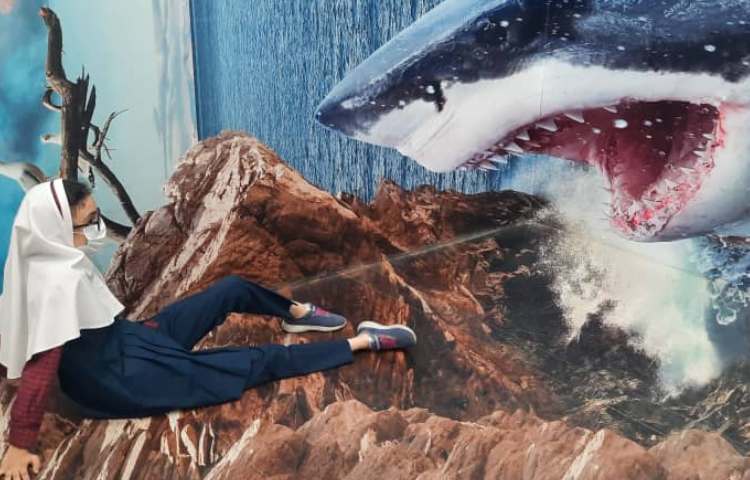 رویا پارک 14