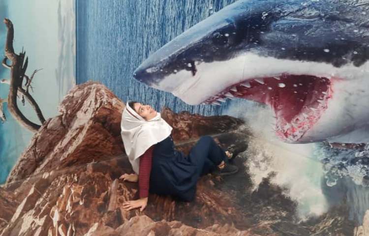 رویا پارک 15