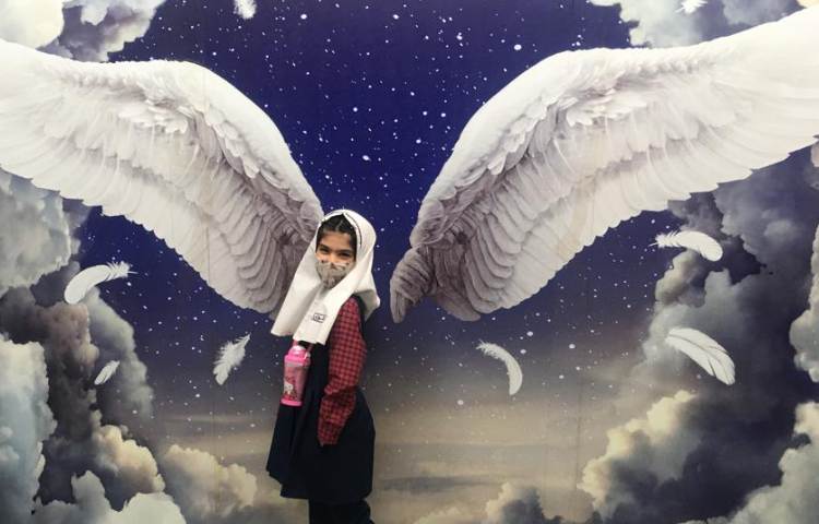 رویا پارک 16