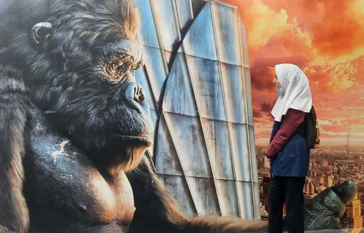 رویا پارک 17