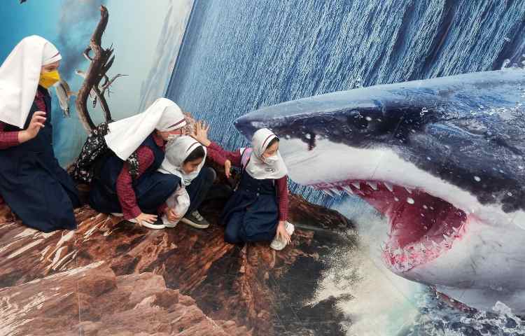 رویا پارک 17