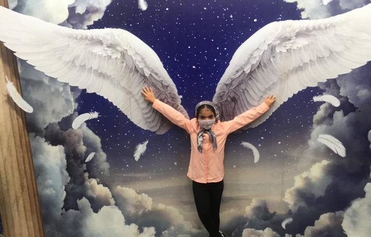 رویا پارک 17