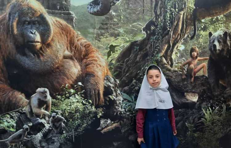 رویا پارک 19