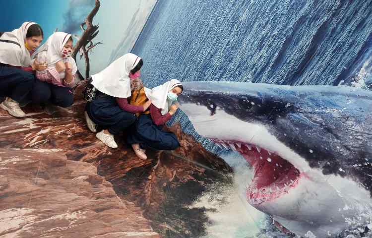 رویا پارک 21