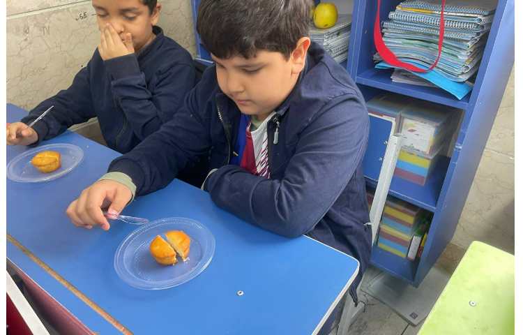 ریاضی،اشنایی با مفهوم کسر و‌تقسیم بندی به طور مساوی 1