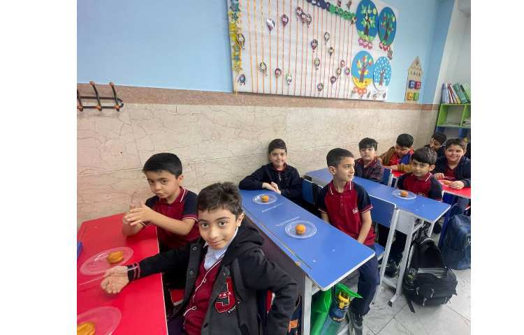 ریاضی،اشنایی با مفهوم کسر و‌تقسیم بندی به طور مساوی 2