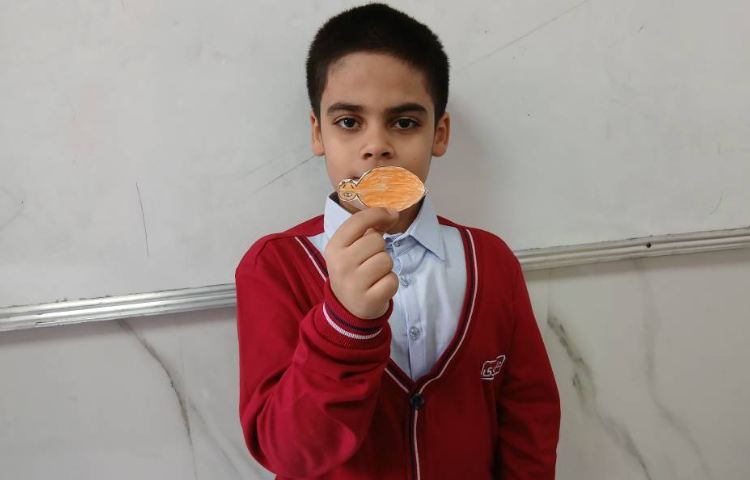 ریاضی_دست ساخته های دانش آموزان_ تقارن 6