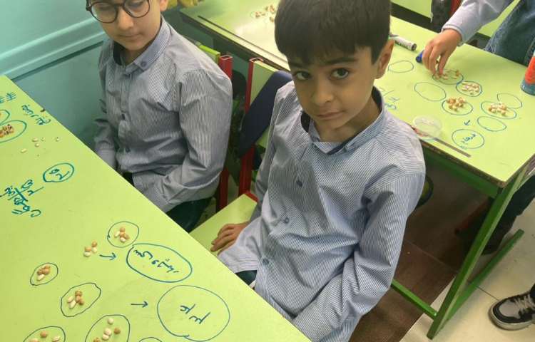 ریاضی،دست ورزی (مبحث شمارش از طریق دسته بندی)