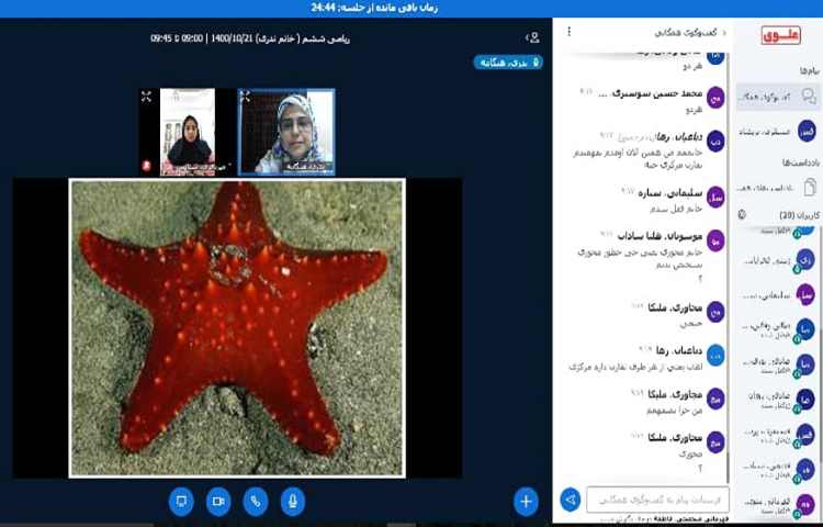 ریاضی،فصل 4 تقارن 4