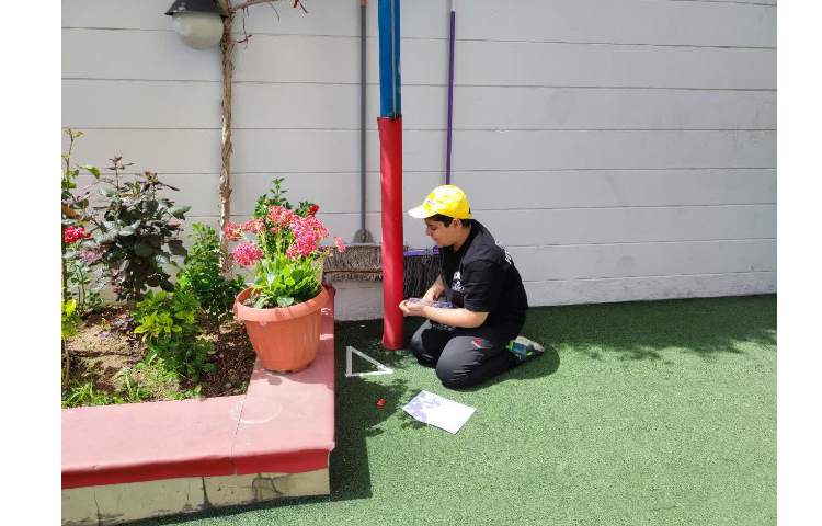 ریاضی-کلاس بدون دیوار