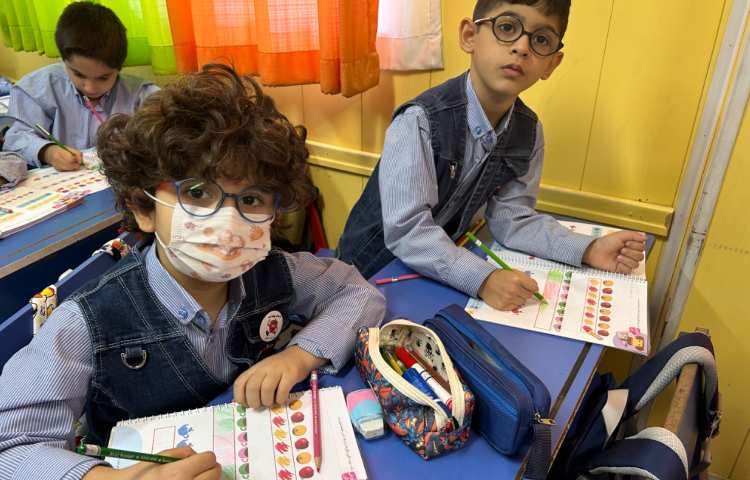 ریاضی ، الگویابی