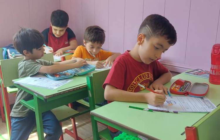 ریاضی : تدریس الگو های عددی و هندسی به صورت دانش آموز محور 2