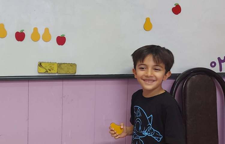 ریاضی : تدریس الگو های عددی و هندسی به صورت دانش آموز محور 4