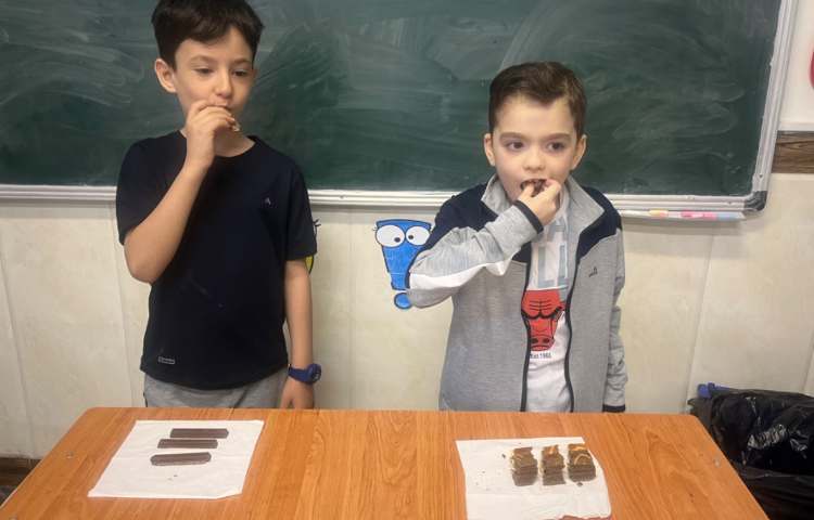 ریاضی: مبحث کسر 1