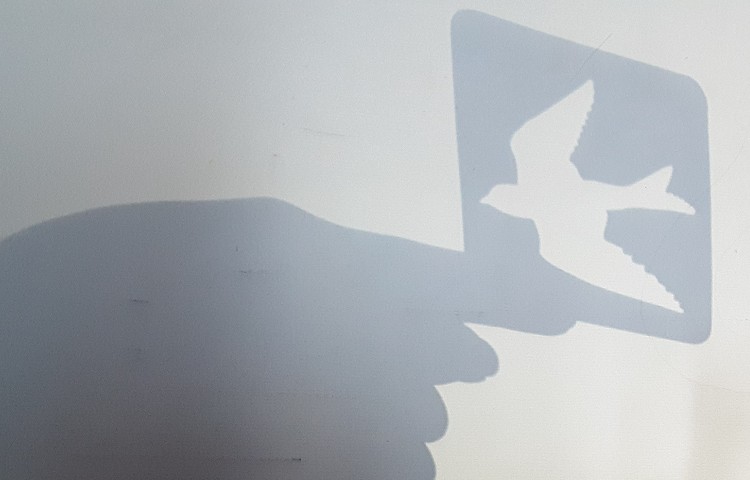 :ریاضی و علوم(الگو و سایه)،کلاس توت فرنگی 3