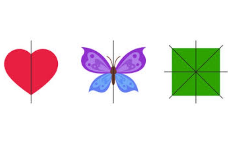 ریاضی و هوش 5