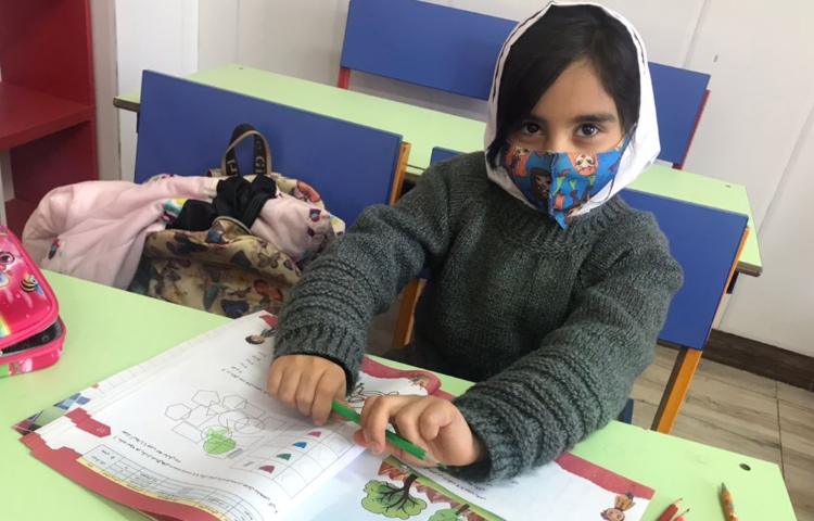 ریاضی و هوش