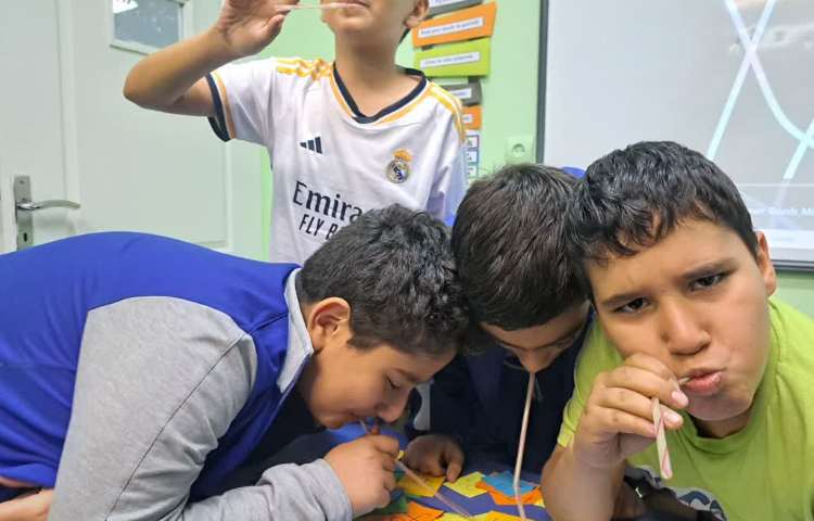 ریاضی Factors and divisibility 2