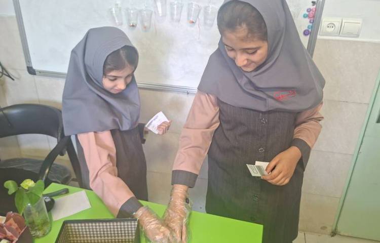 ریاضی 7