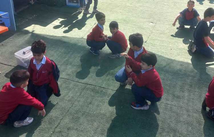 ریتم و گیم 3