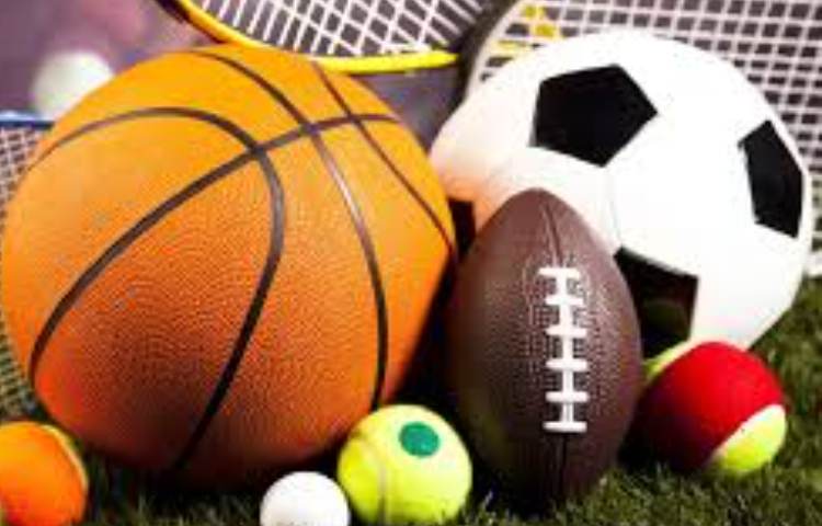 زبان آشنایی دانش آموزان با ورزش های محتلف 1