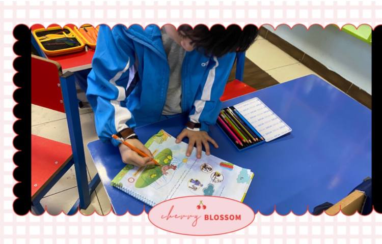 :زبان آموزی، آموزش هم آغاز و هم پایان (ن) 2