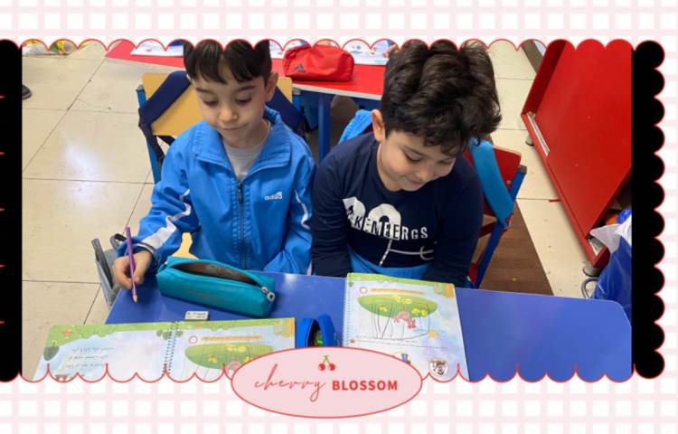 :زبان آموزی، آموزش هم آغاز و هم پایان (ن) 3