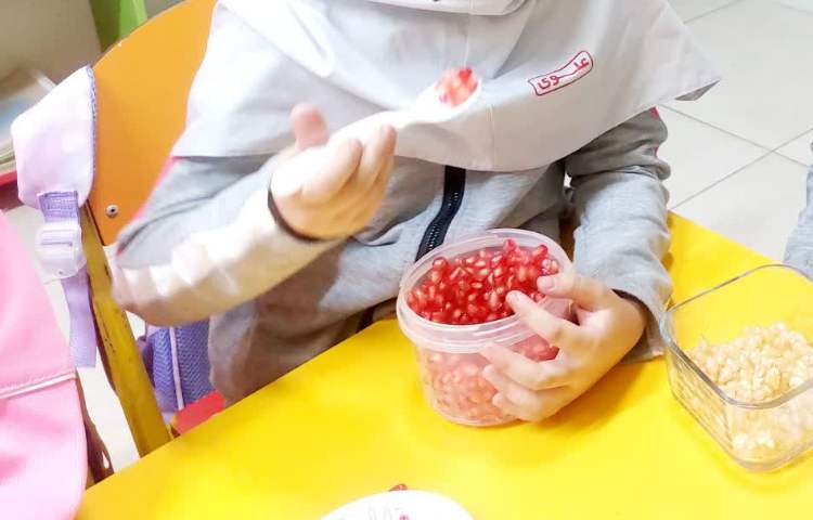 زبان آموزی 3