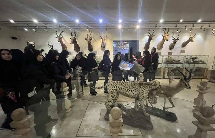 زبان انگلیسی پایگاه تابستانی (موزه حیات وحش دارآباد) 10