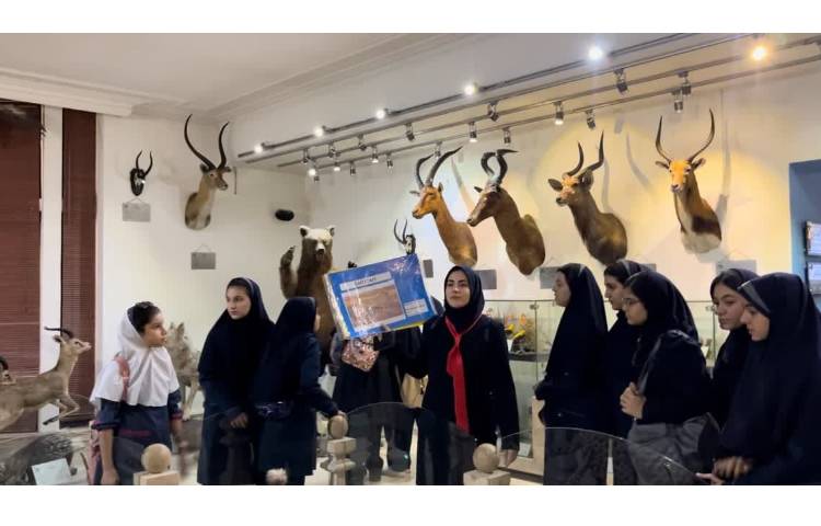 زبان انگلیسی پایگاه تابستانی (موزه حیات وحش دارآباد) 2